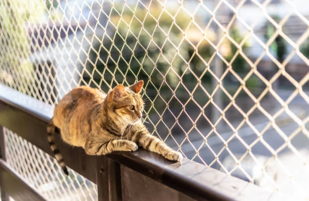 Instalação de rede de proteção para gatos