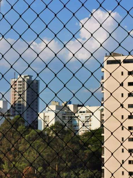Rede de proteção para cachorros em Porto Alegre