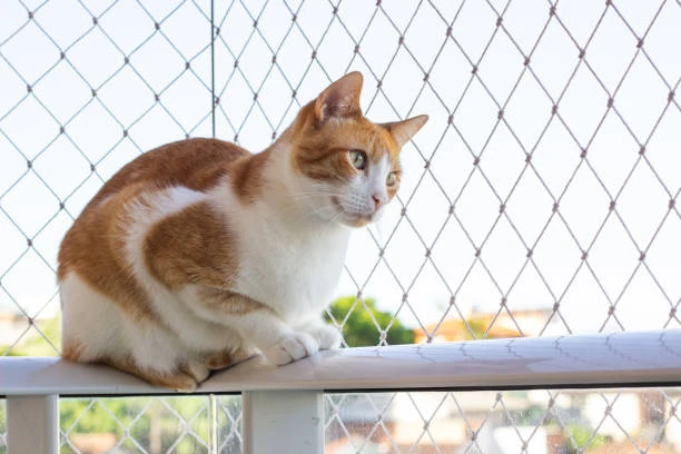 Tela anti fuga para gatos