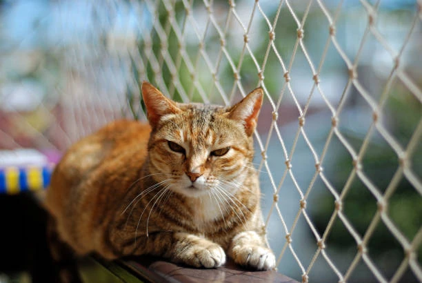 Tela de proteção para pet