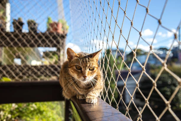 Tela de proteção para pet em Canoas