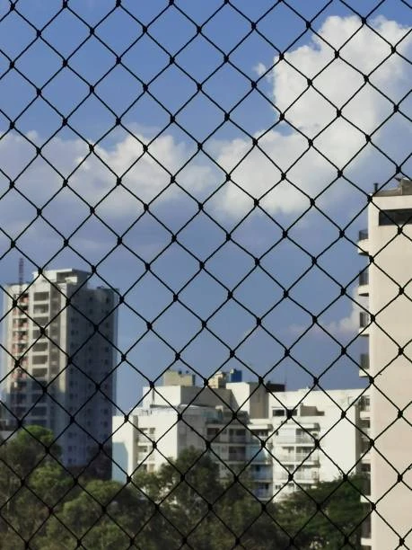 Tela protetora para cachorro